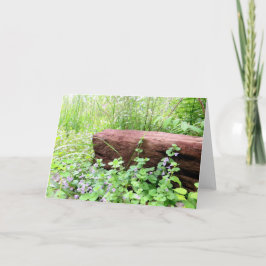 Gewoon Natuur - leeg Wenskaart Kaart