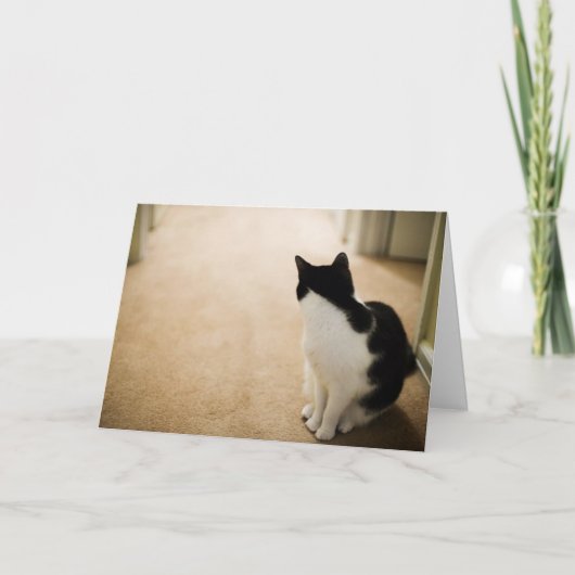 Gewoon nieuwsgierig kaart (Voorkant)