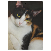 Gewoon om je heen klembord (Achterkant)