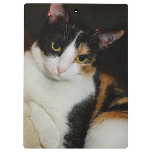 Gewoon om je heen klembord (Achterkant)