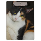 Gewoon om je heen klembord (Voorkant)