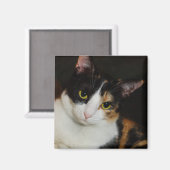 Gewoon om je heen magneet (Voorkant / Achterkant)