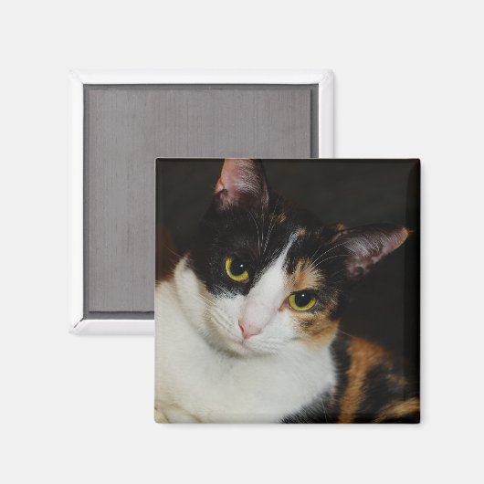 Gewoon om je heen magneet (Voorkant / Achterkant)