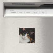 Gewoon om je heen magneet (Insitu (Vaatwasser))