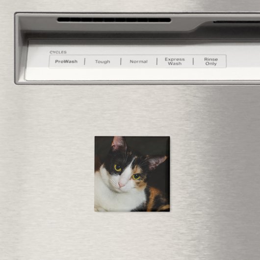 Gewoon om je heen magneet (Insitu (Vaatwasser))