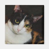 Gewoon om je heen magneet (Voorkant)