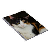 Gewoon om je heen notitieboek (Rechterzijde)