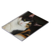 Gewoon om je heen notitieboek (Linkerzijde)