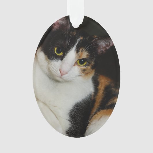 Gewoon om je heen ornament (voorkant)