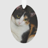 Gewoon om je heen ornament (achterkant)