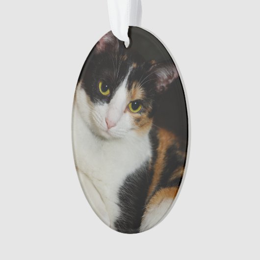 Gewoon om je heen ornament (voorkant)