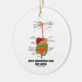 Gewoon om je mijn ingewanden te tonen (Humor van h Keramisch Ornament (Links)