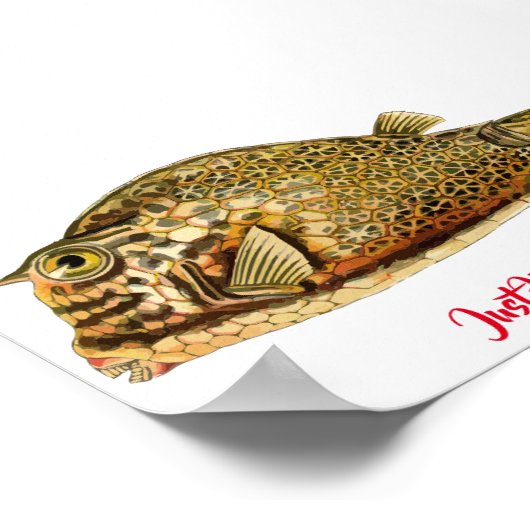 Gewoon om Poster (Hoek)