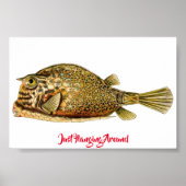 Gewoon om Poster (Voorkant)