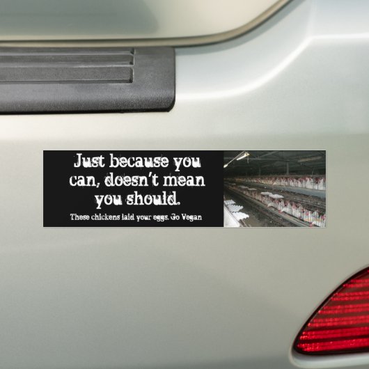 Gewoon omdat je dat kunt, Eieren legkippen Bumpersticker (Op auto)