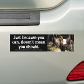 Gewoon omdat je dat kunt, varkens bumpersticker (Op auto)
