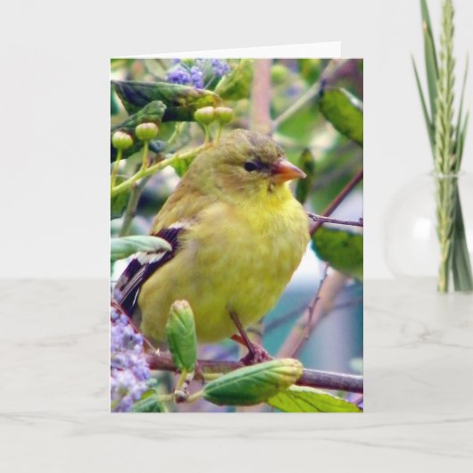 Gewoon omdat kaart (Voorkant)