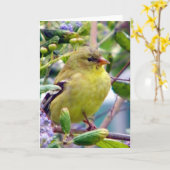 Gewoon omdat kaart (Gele Bloem)