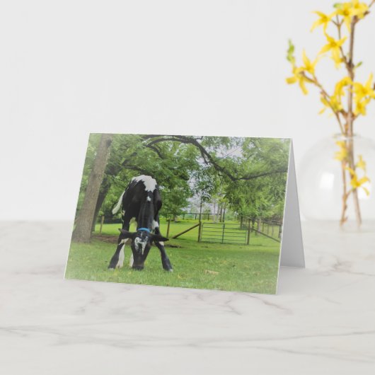 Gewoon omdat kaart (Gele Bloem)