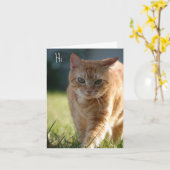 Gewoon omdat kaart (Gele Bloem)