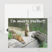 Gewoon Perfect Meerkat Briefkaart (Voorkant / Achterkant)