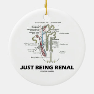 Gewoon renaal zijn (Nieren Nefron Renale Humor) Keramisch Ornament