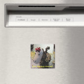 Gewoon rond een magneet paardrijden (Insitu (Vaatwasser))