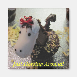 Gewoon rond een magneet paardrijden