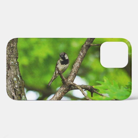 Gewoon rond iPhone Case zitten (Achterkant (horizontaal))