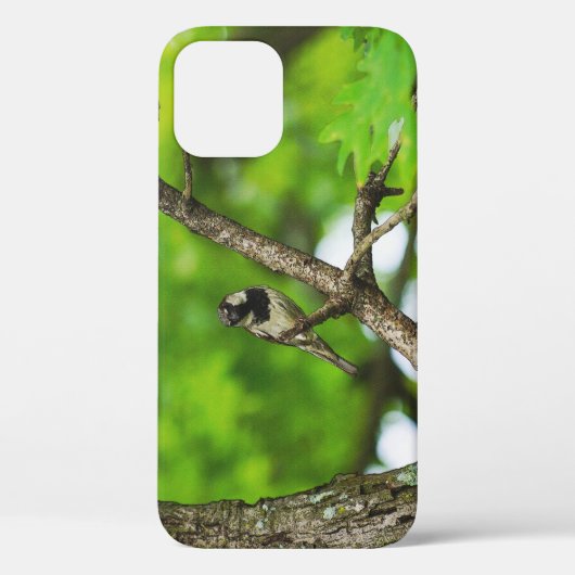 Gewoon rond iPhone Case zitten (Achterkant)