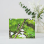 Gewoon rond zitten briefkaart (Staand voorkant)