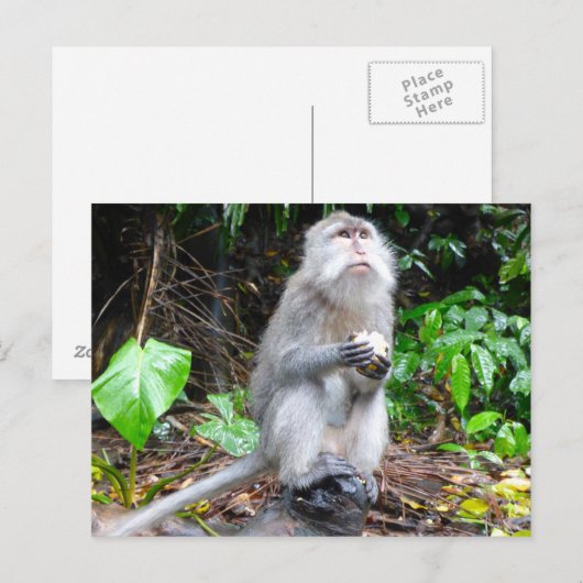 Gewoon ronddraaien briefkaart (Voorkant / Achterkant)