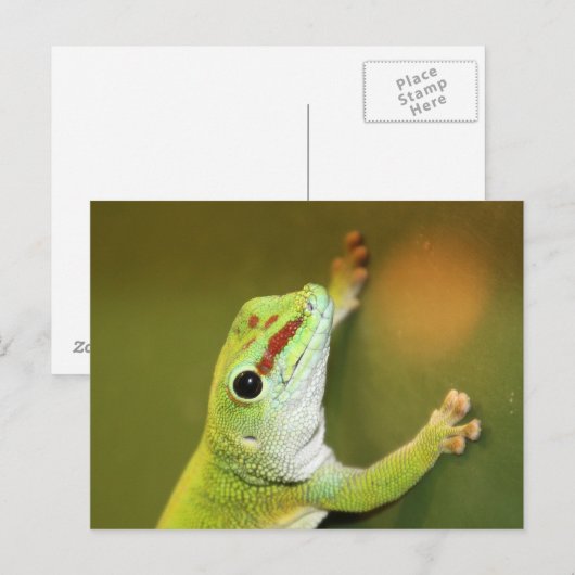 Gewoon rondhangen briefkaart (Voorkant / Achterkant)