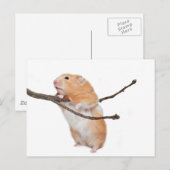 gewoon rondhangen briefkaart (Voorkant / Achterkant)