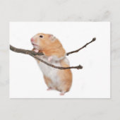 gewoon rondhangen briefkaart (Voorkant)