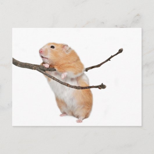 gewoon rondhangen briefkaart (Voorkant)