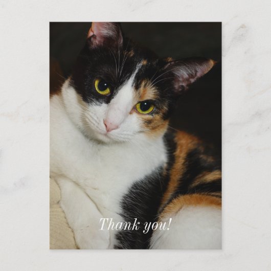 Gewoon rondhangen dank je kaartje briefkaart (Voorkant)