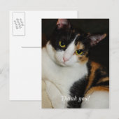 Gewoon rondhangen dank je postkaart (Voorkant / Achterkant)