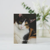 Gewoon rondhangen dank je postkaart (Staand voorkant)