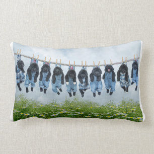 Gewoon rondhangen rond de kussen