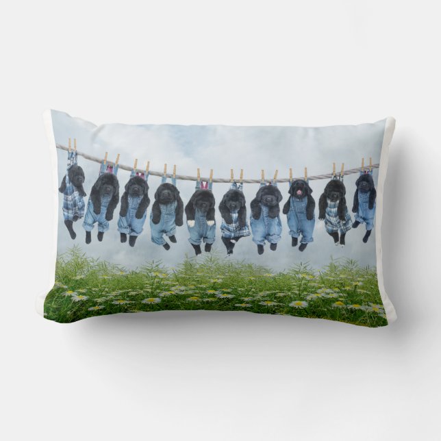 Gewoon rondhangen rond de kussen (Voorkant)