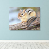 Gewoon Schattige kleine Chipmunk Canvas Afdruk (Insitu (Houten vloer))