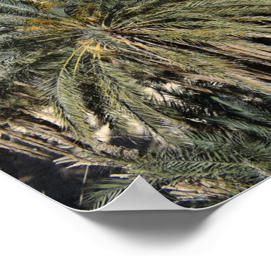 Gewoon Schilderachtig Poster (Hoek)