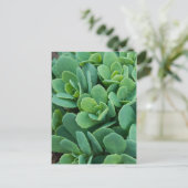 Gewoon Sedum Briefkaart (Staand voorkant)