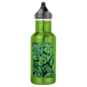 Gewoon Sedum roestvrijstalen waterfles