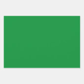 Gewoon Spaans Hunter Texas Green Shades 3 Tones Inpakpapier Vel (Voorkant 3)