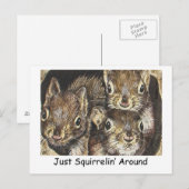 Gewoon Squirrellin rond Briefkaart (Voorkant / Achterkant)