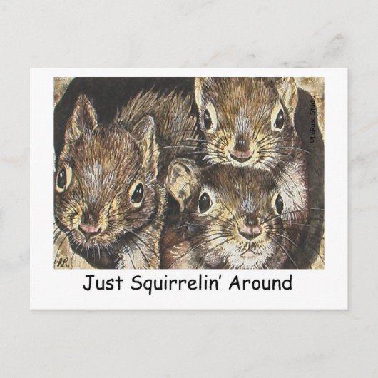 Gewoon Squirrellin rond Briefkaart (Voorkant)