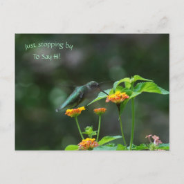 Gewoon stoppen door Hummingbird Briefkaart