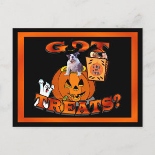 Gewoon te stommerik met een bulledog puppy Peking  Briefkaart